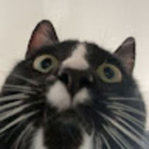 Meet your Posher, Justin